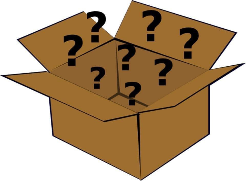 Mystery Freshies {Multiple Styles Available}