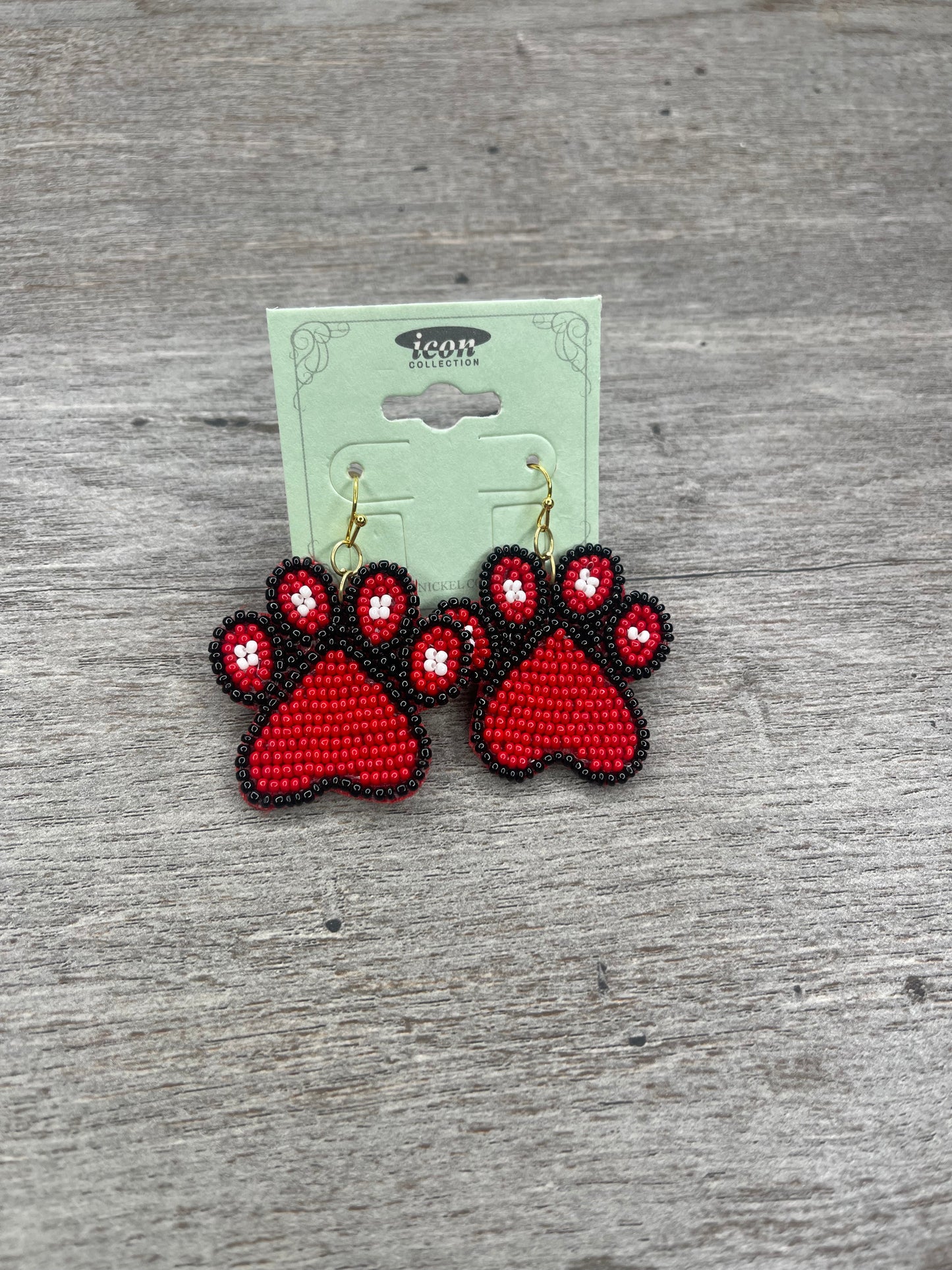 Inspiring Sights Earrings