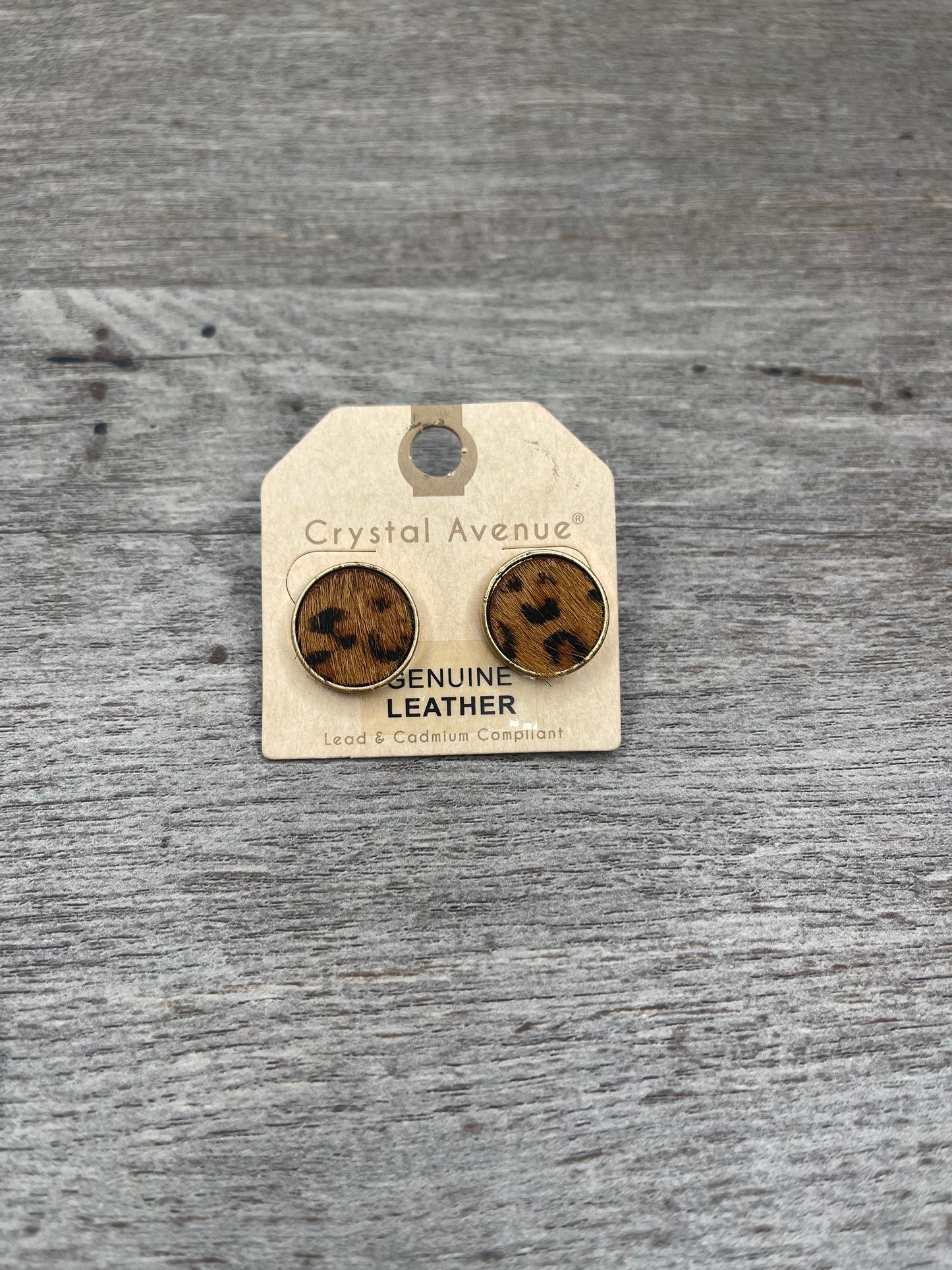 Honest Truth Earrings {Multiple Styles Available}