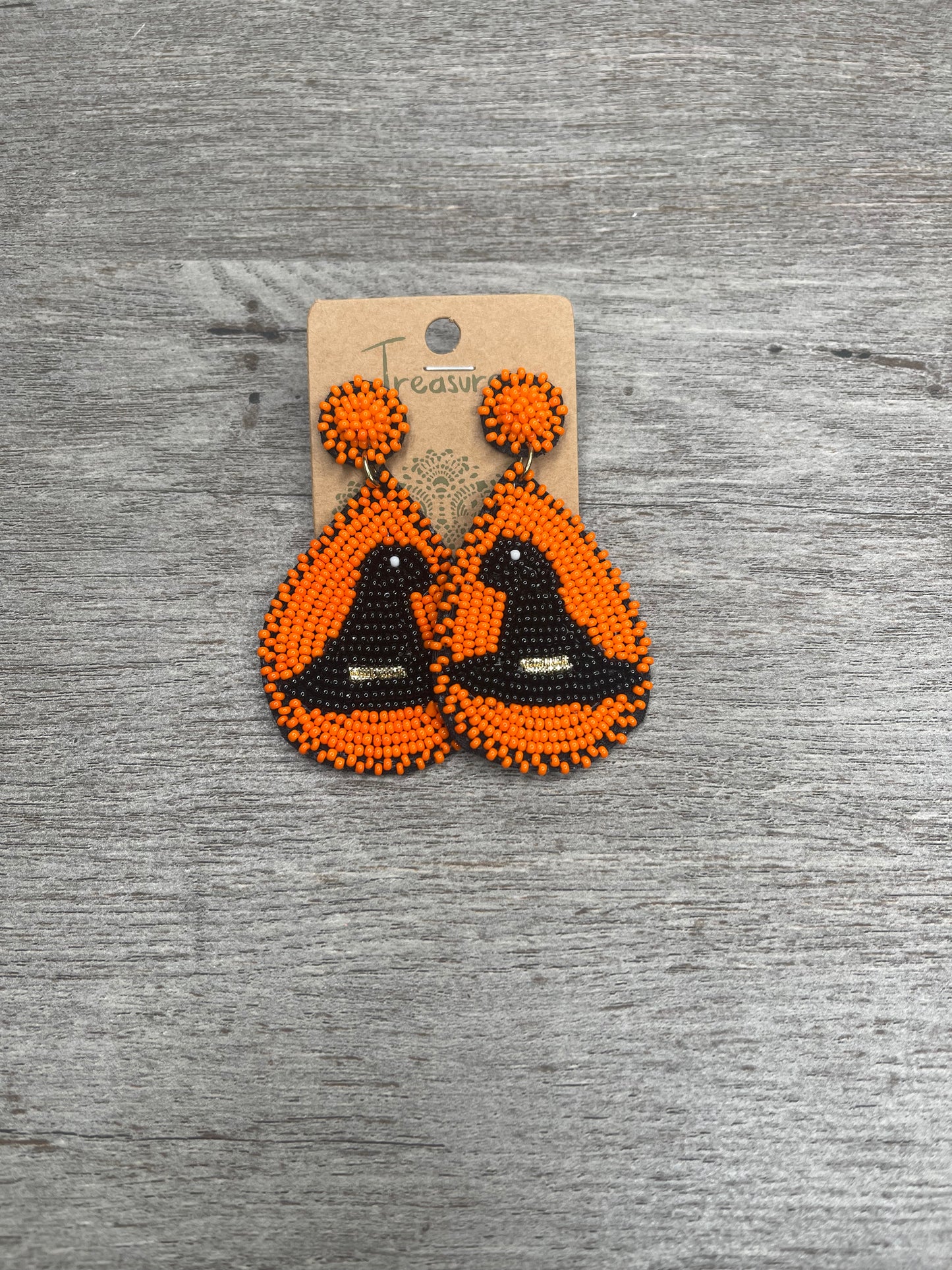 Park Your Broom Earrings Earrings
