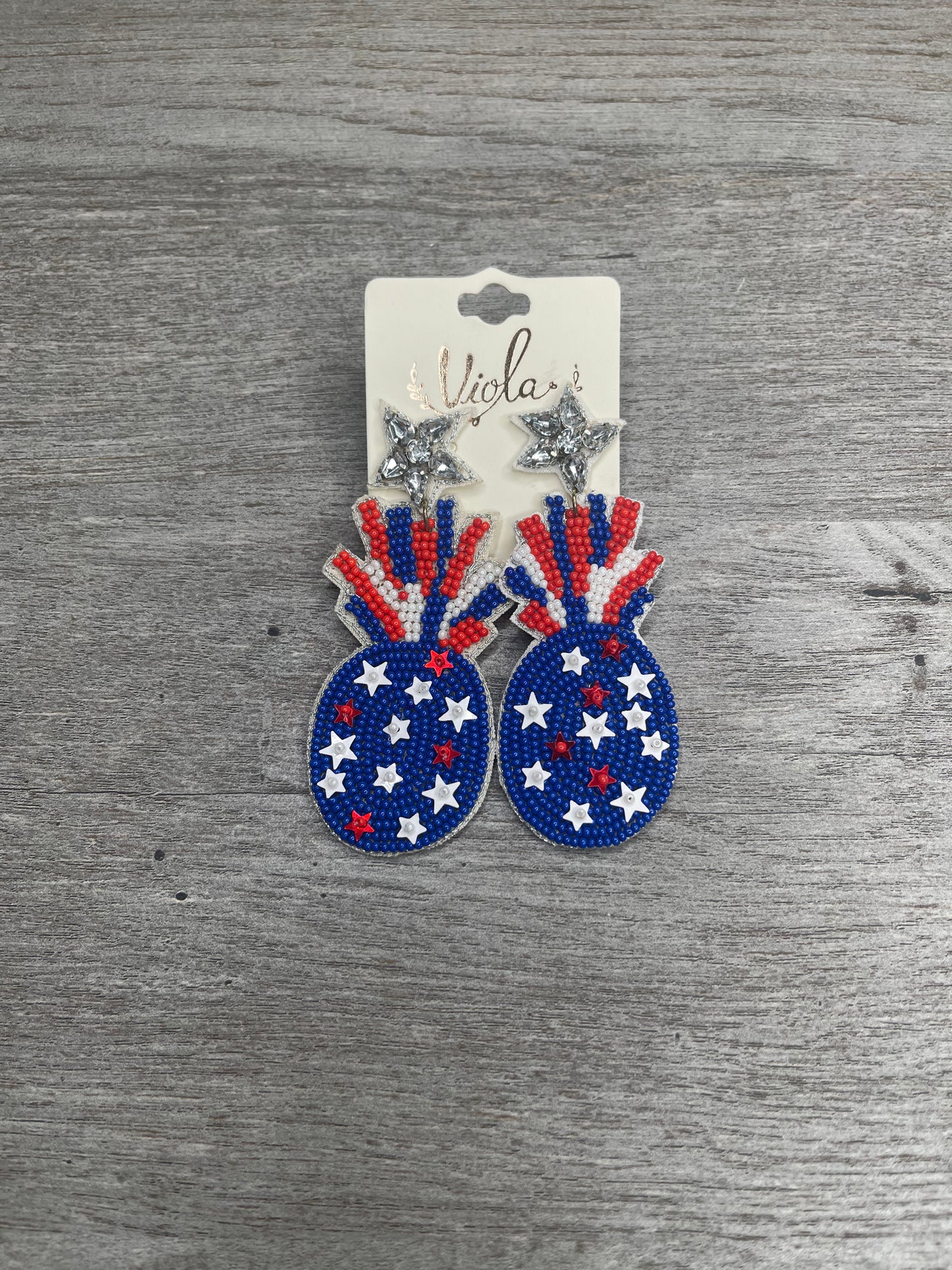 Take A Ride Earrings