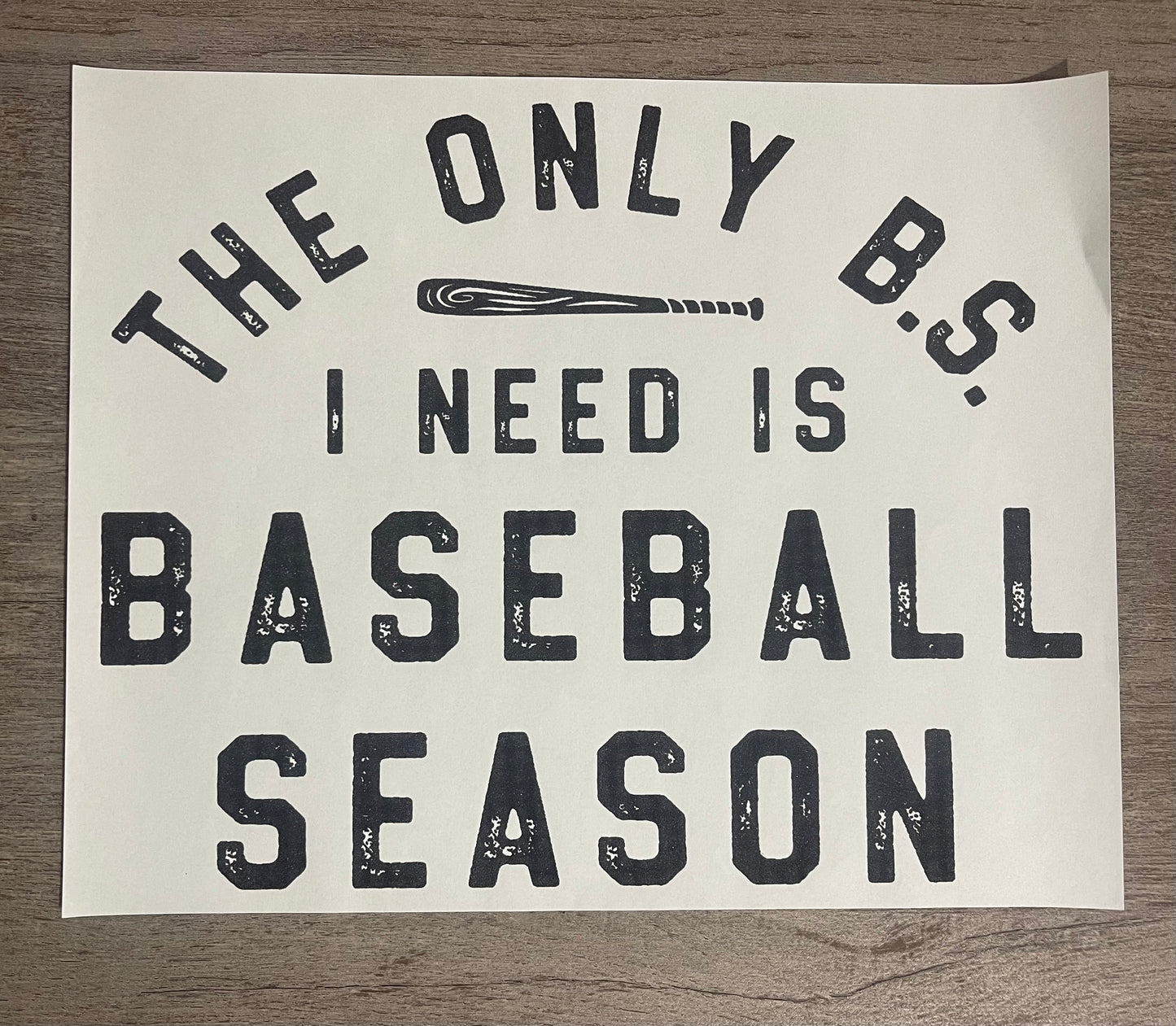 The Only B.S. I Need Is Baseball Season {Regular & Plus}