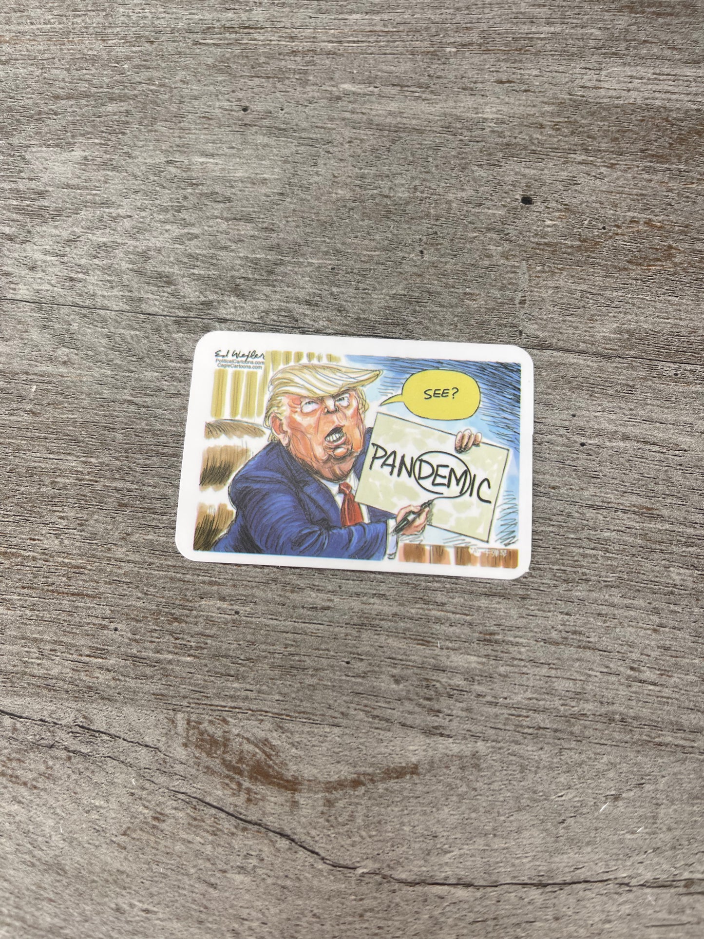 Trump Stickers {Multiple Styles Available}