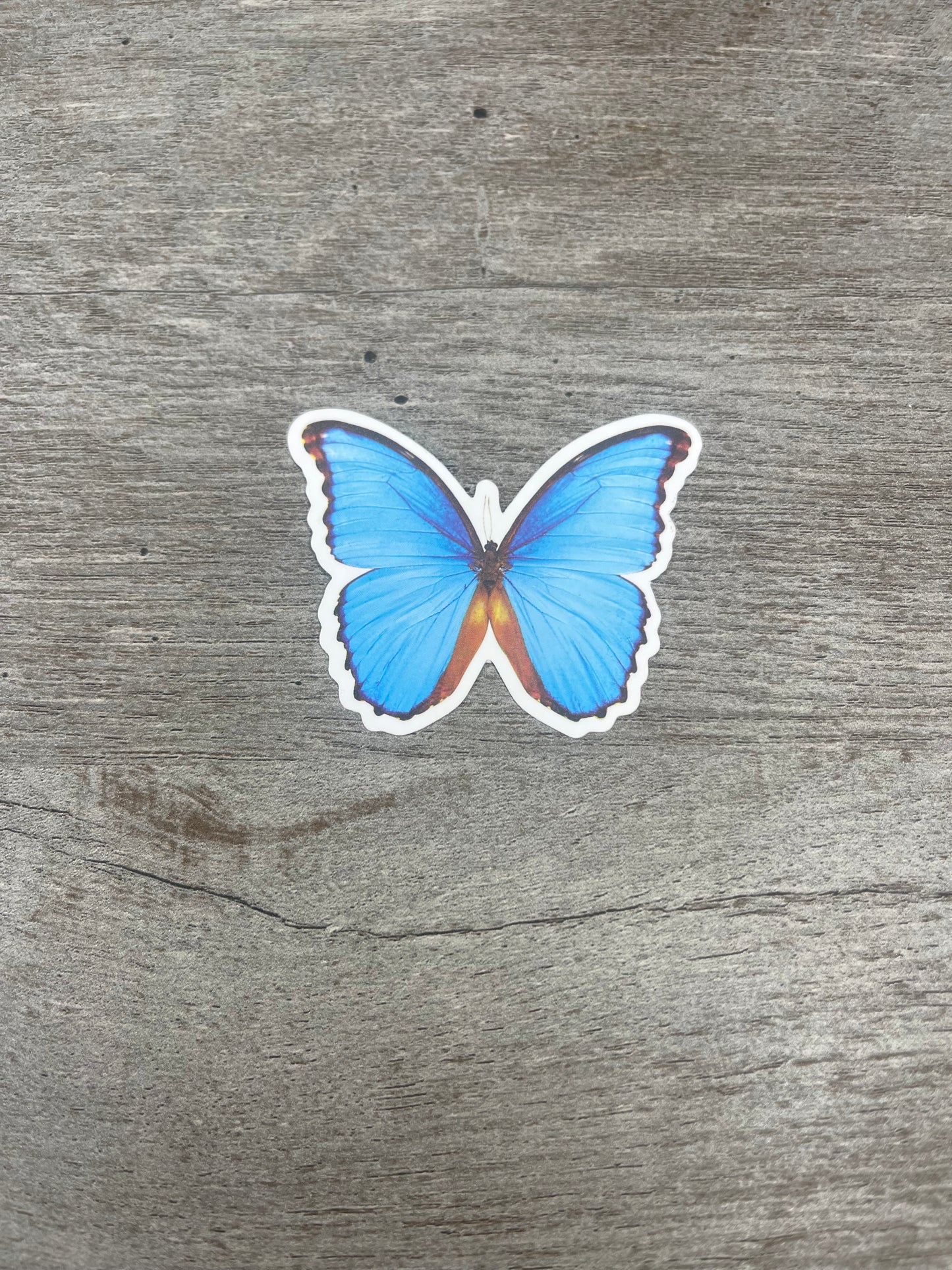 Butterfly Stickers {Multiple Styles Available}