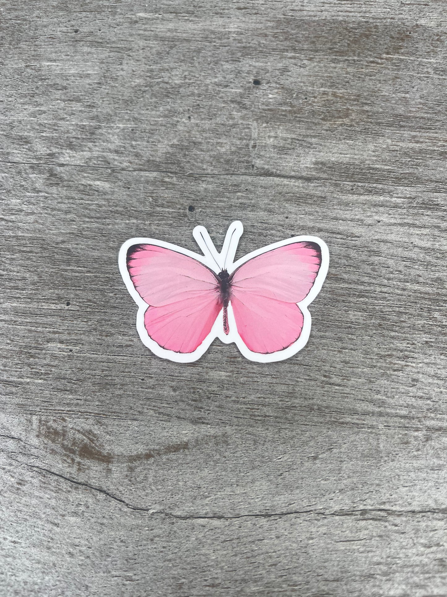 Butterfly Stickers {Multiple Styles Available}