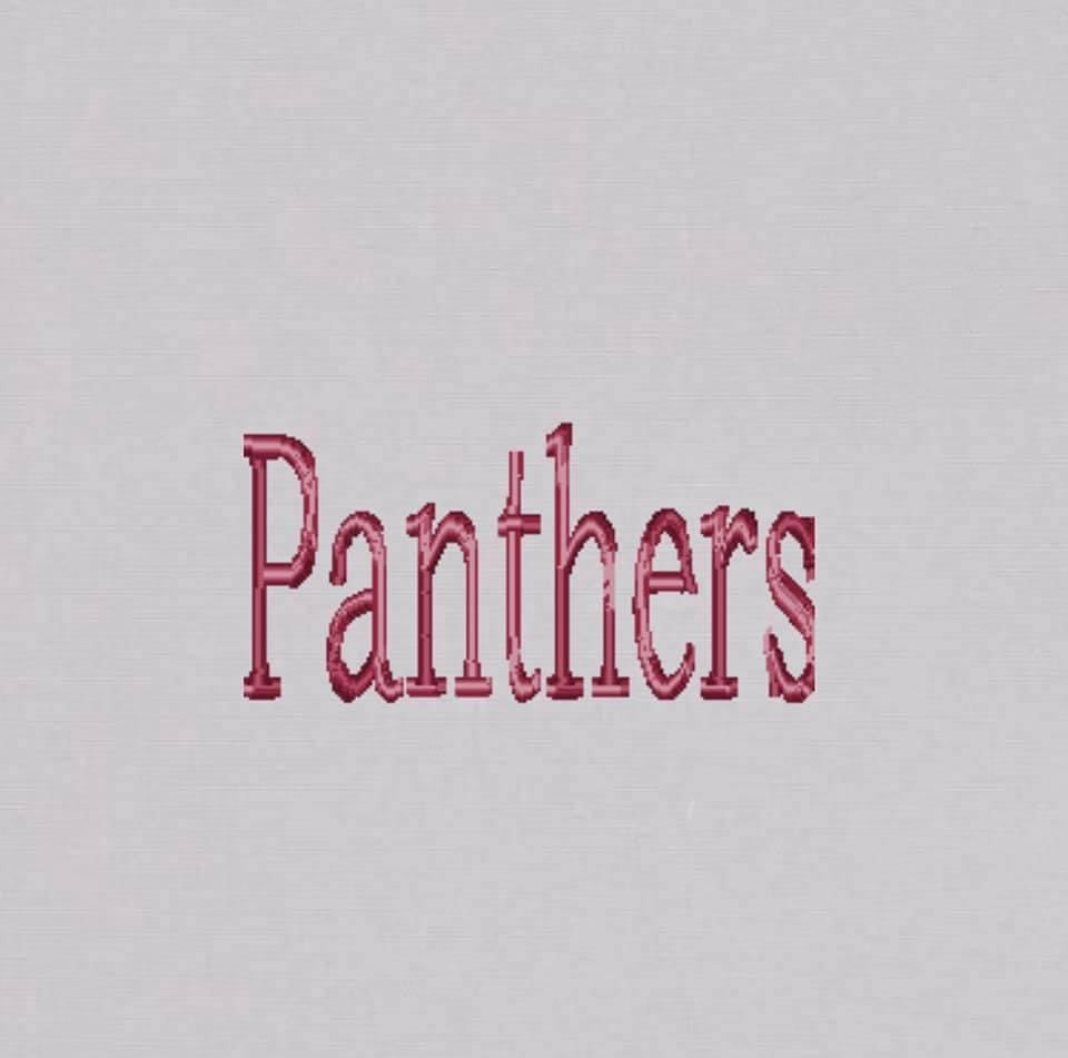 Eclectic Panthers Cap {Multiple Options Available}